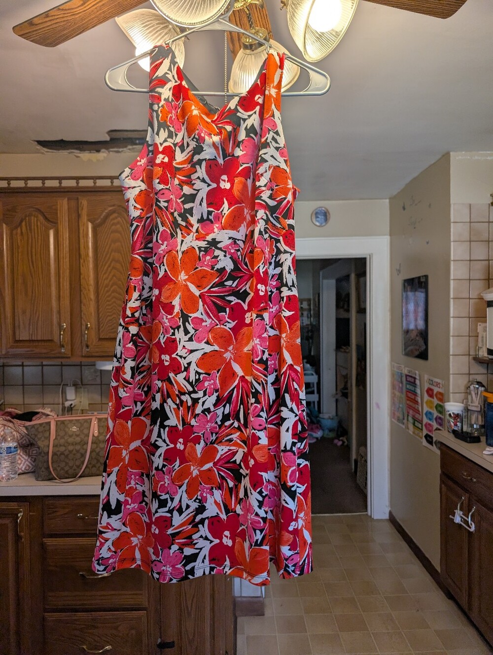 Alyx Red & Pink Floral Sleeveless A-Line Dress